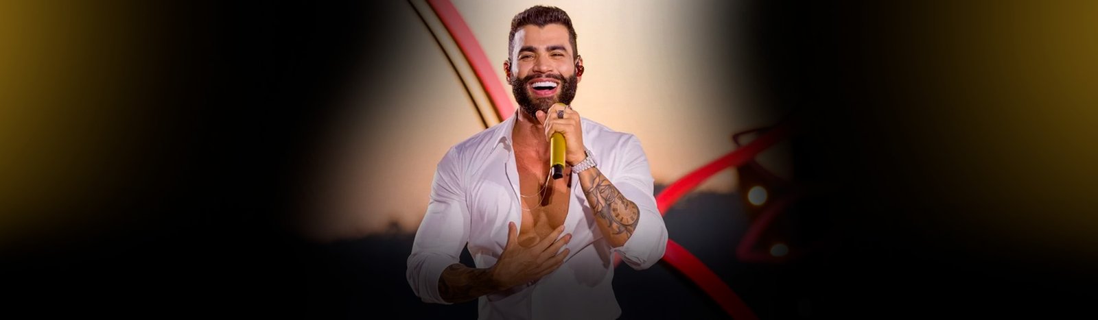 banner- Gusttavo Lima